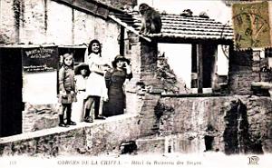 997- Blida - Gorges de la Chiffa - Hotel du Ruisseau des Singes